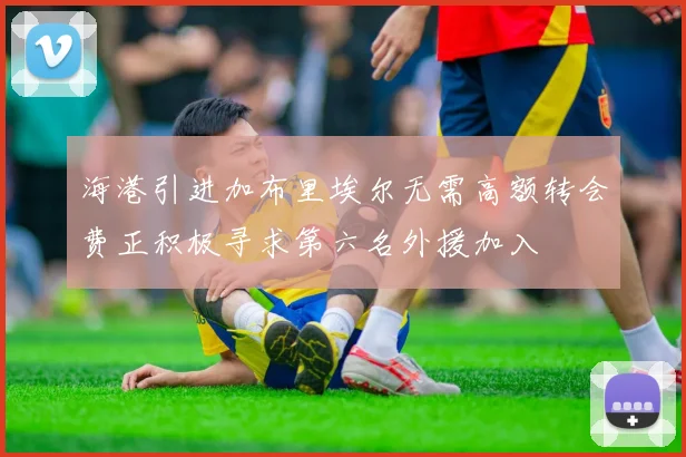 海港引进加布里埃尔无需高额转会费正积极寻求第六名外援加入