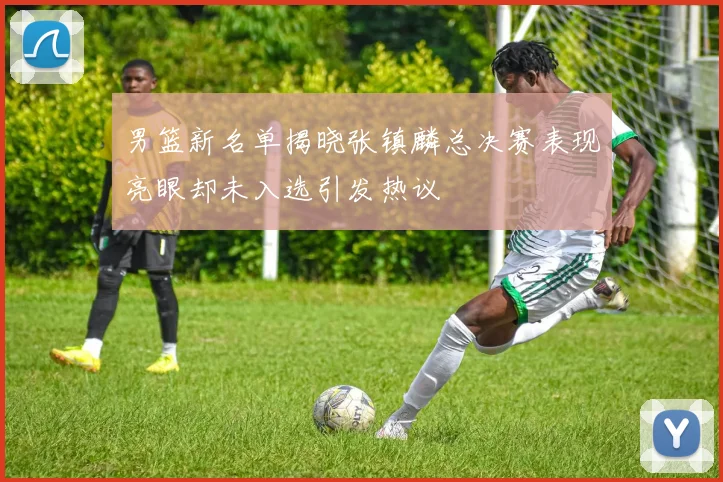男篮新名单揭晓张镇麟总决赛表现亮眼却未入选引发热议